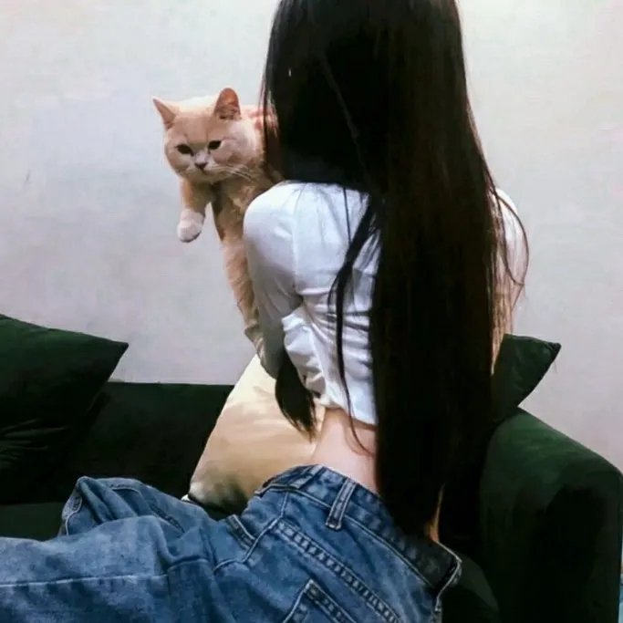 妖精琳琳的秘密 封面