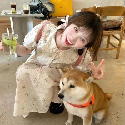 修饰